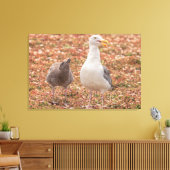 Meeuw en kuiken canvas afdruk (Insitu (Woonkamer))
