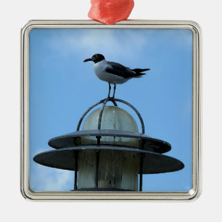 Meeuw Foto Ornament