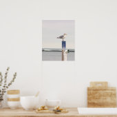 Meeuw Foto Poster (Keuken)