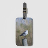 Meeuw op post bagagelabel (Voorkant (verticaal))