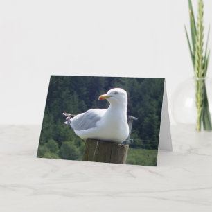 Meeuw op tuinhekpaal Schattige vogelkunst Kaart