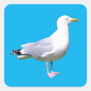 Meeuw Staand Kust Natuur Wilde Dieren Natuur Kunst Vierkante Sticker
