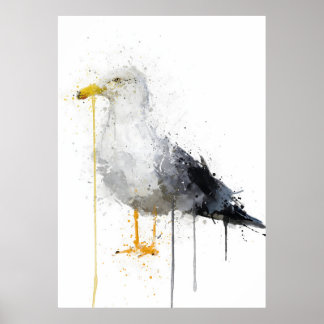 Meeuw Vogel Poster