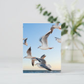 meeuwen-3 briefkaart (Staand voorkant)