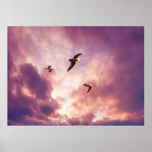 Meeuwen vliegen in een zonsondergang hemel poster
