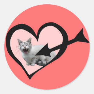Meeuwende Kat Valentijn Sticker
