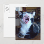 Meeuwkatten 30 Briefkaart (Voorkant / Achterkant)