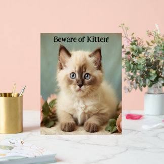 Méfiez-Vous De Kitten Cute Ragdoll Kitty Guardian 