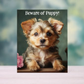 Méfiez-Vous Des Chiots Cute Yorkshire Terrier Guar (Neutre)