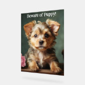 Méfiez-Vous Des Chiots Cute Yorkshire Terrier Guar (Angle)