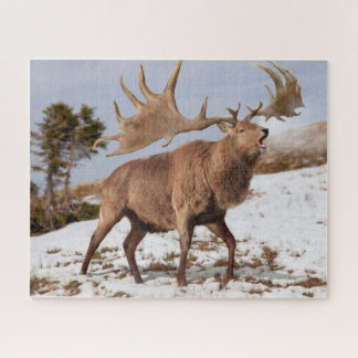 Megaloceros (reuzenIers elk) in sneeuwpuzzel Legpuzzel