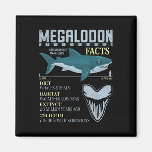 Megalodon Feiten Meg Prehistorische Haai Tand Foss Magneet