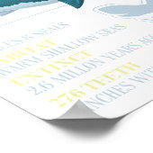 Megalodon feiten Meg prehistorische haaientand fos Poster (Hoek)