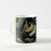 Megalodon Fossil Shark Teeth Mok (Voorkant links)