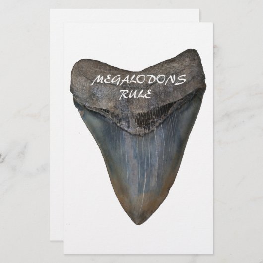 Megalodon Shark Tooth Briefpapier (Voorkant / Achterkant)