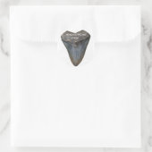 Megalodon Shark Tooth Ronde Sticker (Tas)