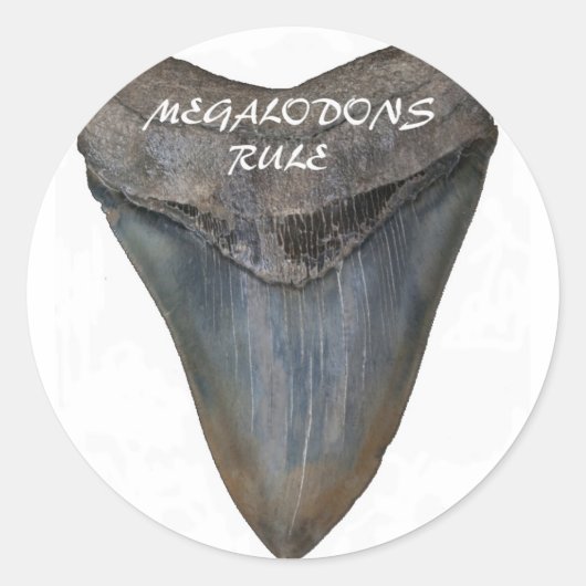 Megalodon Shark Tooth Ronde Sticker (Voorkant)