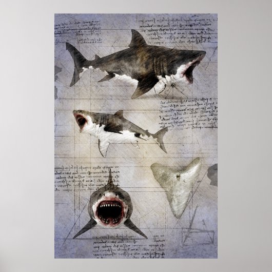 Megalodon sketch poster (Voorkant)