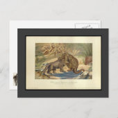  Megalosaurus VS Iguanodon Briefkaart (Voorkant / Achterkant)