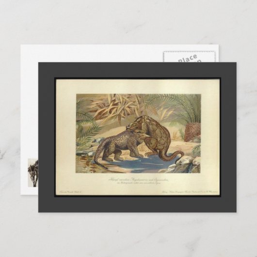  Megalosaurus VS Iguanodon Briefkaart (Voorkant / Achterkant)