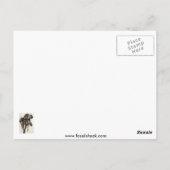  Megalosaurus VS Iguanodon Briefkaart (Achterkant)