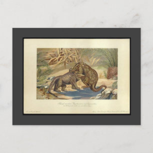  Megalosaurus VS Iguanodon Briefkaart