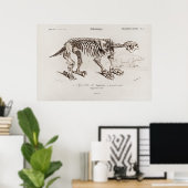  Megatherium Illustratie Poster (Thuiskantoor)