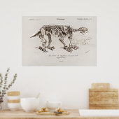  Megatherium Illustratie Poster (Keuken)