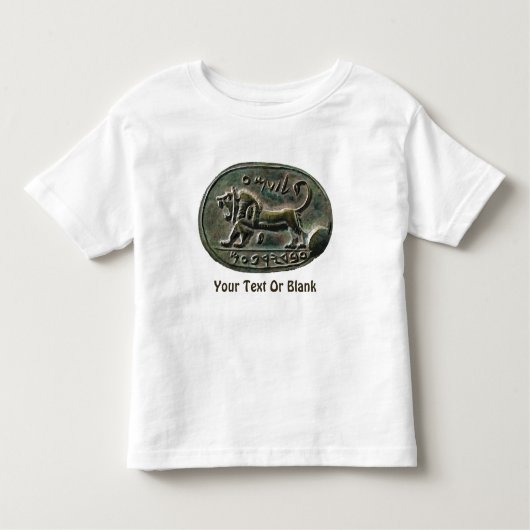Megiddo Seal Kinder Shirts (Voorkant)