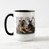 Megyan Doberman - Berkeley Mastiff X Mok (Links)