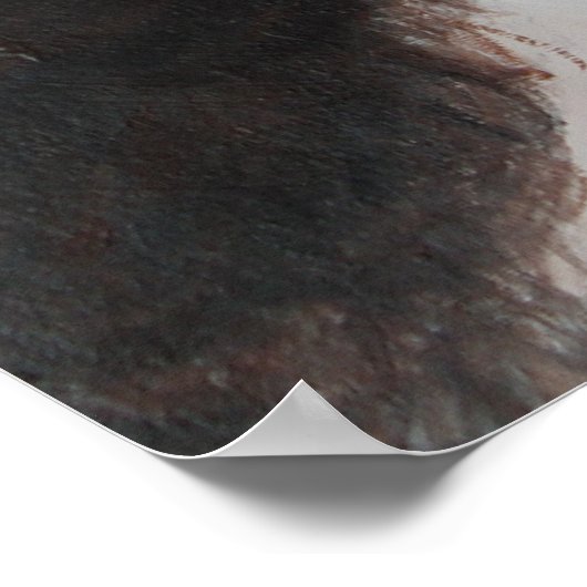 Meher Baba Beloved Poster (Hoek)