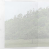 Meher Baba, scheidingsheuvel, zaad van liefde Drieluik Aankondiging (Binnenzijde eerst)