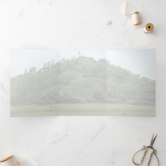 Meher Baba, scheidingsheuvel, zaad van liefde Drieluik Aankondiging (Binnen)