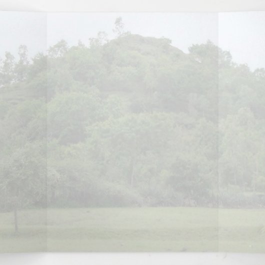 Meher Baba, scheidingsheuvel, zaad van liefde Drieluik Aankondiging (Binnenkant midden)