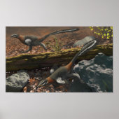 Mei Long Print (Voorkant)