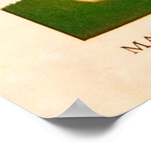 Mei Pole - kunst Poster (Hoek)