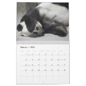 Mei Xiang & Tian Tian 2022 Agenda Kalender (Feb 2026)