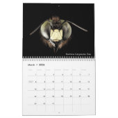 Meilleur calendrier des abeilles 2020 avec photos  (Mar 2026)
