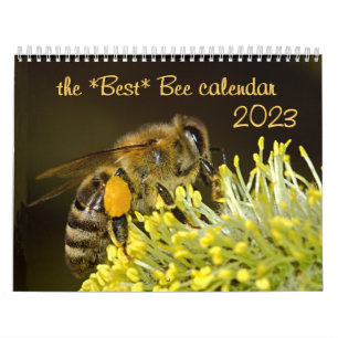 Meilleur calendrier des abeilles 2023 avec photos