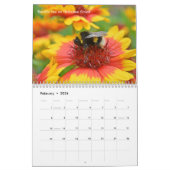 Meilleur calendrier des abeilles 2025 avec photos  (Feb 2026)
