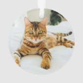 MEILLEUR CHAT DU MONDE Carreaux Nom Année (dos)