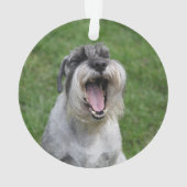 MEILLEUR CHIEN JAMAIS Photo Contrôle Buffalo Noir  (dos)