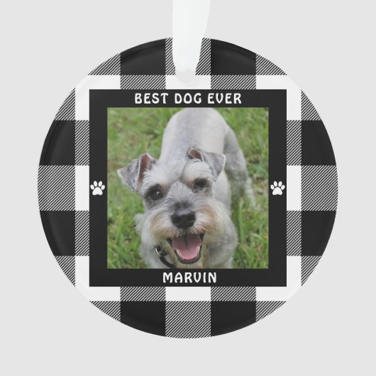 MEILLEUR CHIEN JAMAIS Photo Contrôle Buffalo Noir  (devant)