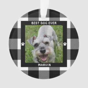 MEILLEUR CHIEN JAMAIS Photo Vérification de Buffal