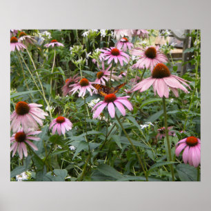 Meilleur de la nature, papillon et affiche de pâqu