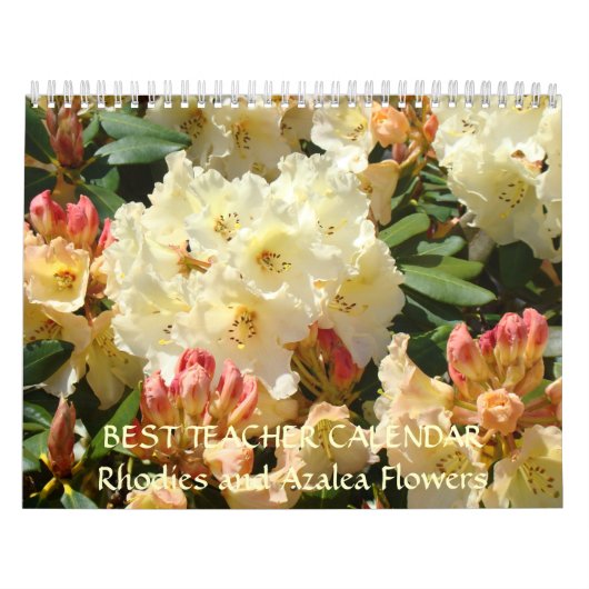 MEILLEUR ENSEIGNANT Cadeaux Calendrier Azalea Rhod (Protection)