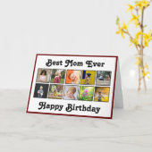 Meilleur modèle d'installation du campement Photo  (Fleur jaune)