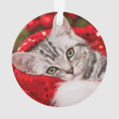 Meilleur père de chats| Texte manuscrit de deux ph (dos)