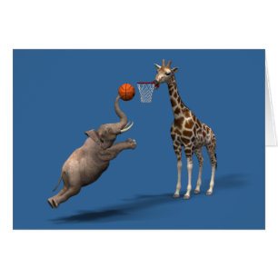 Meilleur scorer de basket-ball