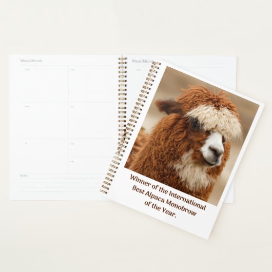 Meilleur Sourcil Unique d'Alpaca (Devant avec enveloppe)